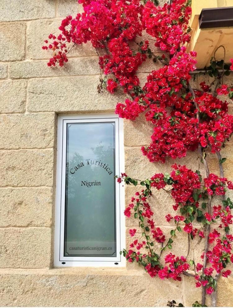 فيلا Casa Turistica نيغران المظهر الخارجي الصورة